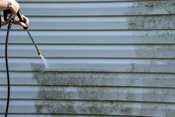 Best Siding Removal and Disposal  in Willow Creek, CA