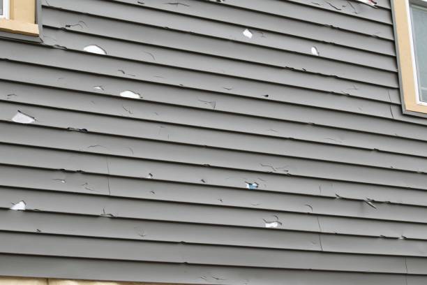 Best Siding Painting and Refinishing  in Willow Creek, CA